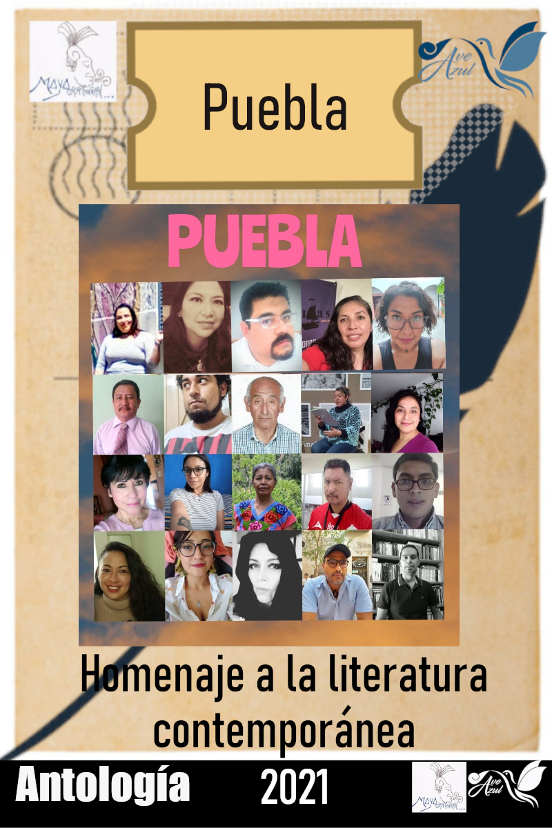 Literatura Puebla